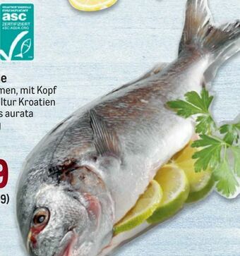 Metro Goldbrasse Angebot