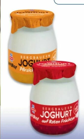 Metro Joghurt Angebot