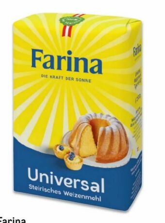 Metro Weizenmehl Angebot