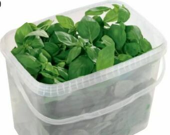 Metro Kräuter Angebot