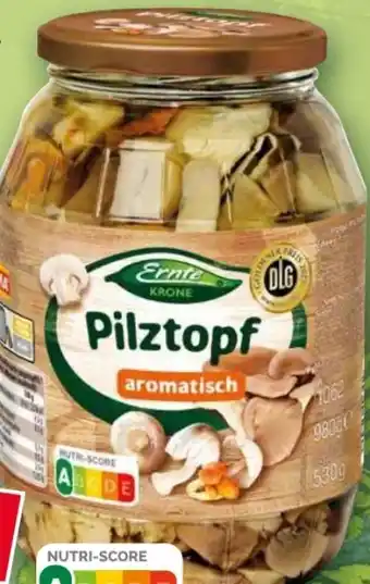 Norma Pilztopf Angebot