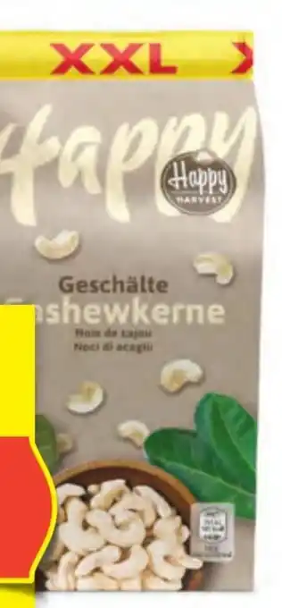 Hofer Cashewkerne Angebot