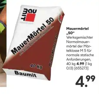 Hellweg MauerMörtel 50 Angebot