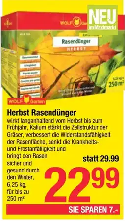 Maximarkt Herbst Rasendünger Angebot