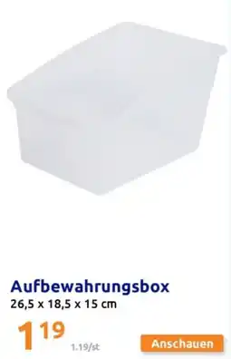 Action Aufbewahrungsbox Angebot