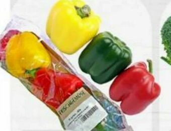 ETSAN Paprika Mix Angebot