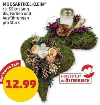 PENNY Moosartikel klein Angebot