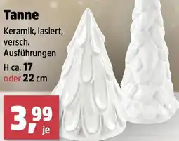 Thomas Philipps Tanne Angebot