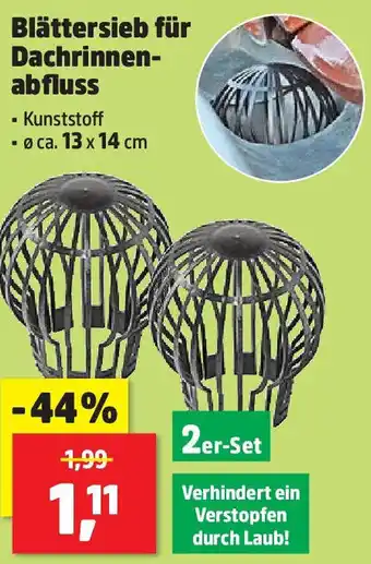 Thomas Philipps Blättersieb für dachrinnen- abfluss Angebot