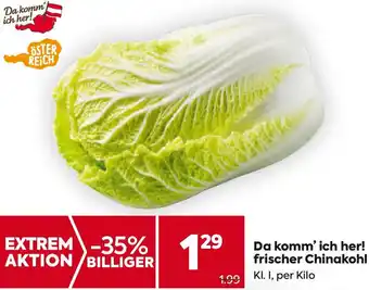 Billa Da komm' ich her! frischer Chinakohl Angebot