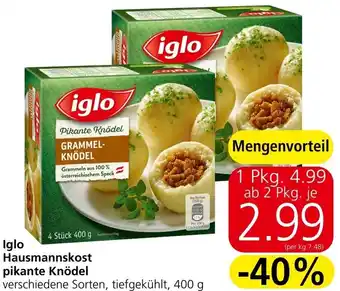 Eurospar Iglo Hausmannskost Pikante Knödel Angebot