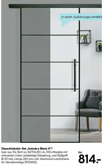 Hellweg Glasschiebetür-Set Industry Black 4 Angebot