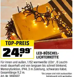 OBI Led Büschel Lichterkette Angebot
