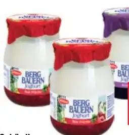 Maximarkt Bergbauern Joghurt Angebot