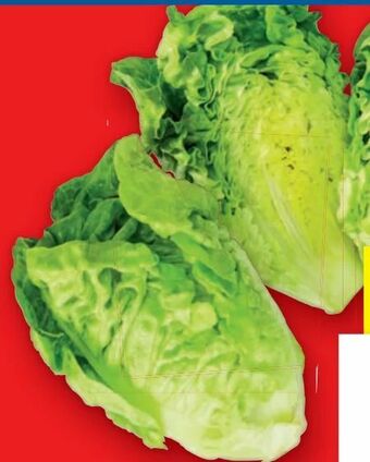 Lidl Salatherzen Angebot