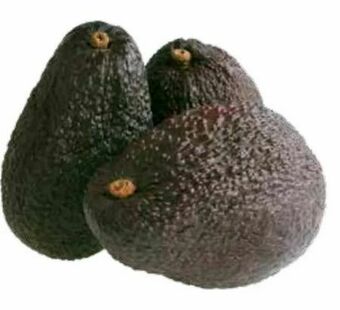 Transgourmet Avocado Hass Angebot