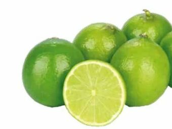 Transgourmet Limetten Angebot