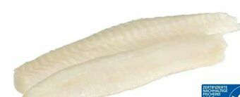 Transgourmet Thunfisch Loins Angebot