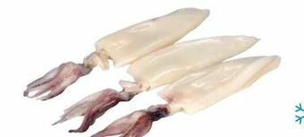 Transgourmet Tintenfisch Geputzt Angebot