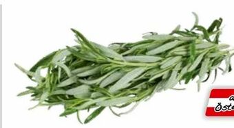 Transgourmet Rosmarin Angebot