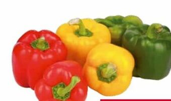 Transgourmet Paprika Mix Angebot