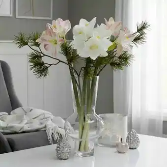 Möbelix Amaryllis Dane Angebot