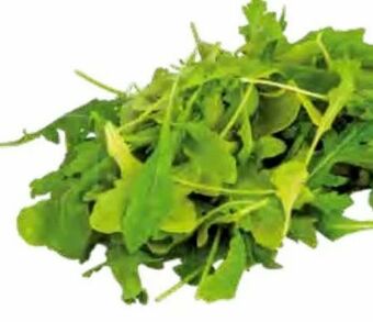 Transgourmet Bio Rucola Angebot