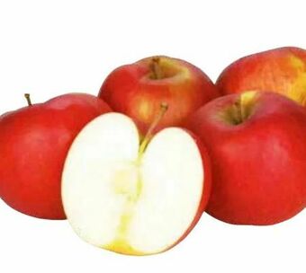 Transgourmet Äpfel Angebot