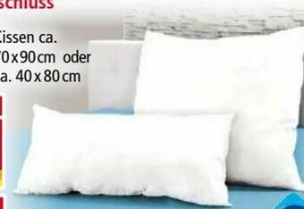 Norma Kissen Sanitized Angebot