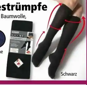 Norma Damen Stütz-Kniestrümpfe Angebot
