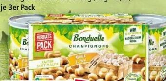 Norma Champignons Angebot