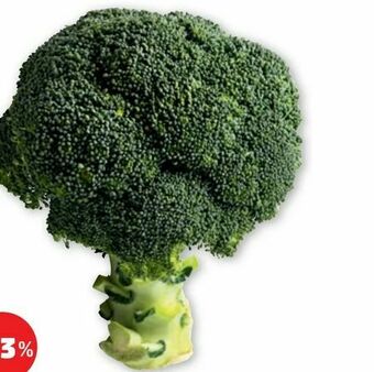 PENNY Brokkoli Angebot