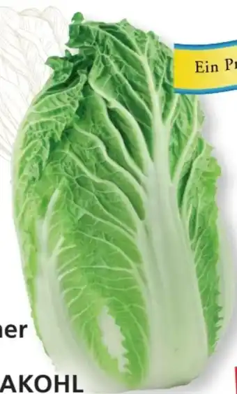 SPAR Gourmet Chinakohl Angebot