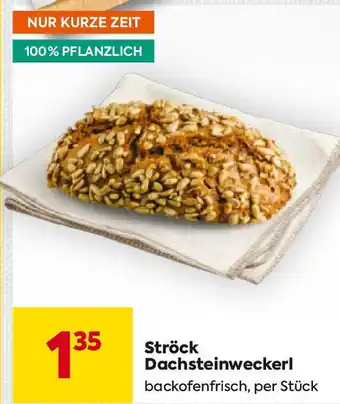 Billa Ströck Dachsteinweckerl Angebot