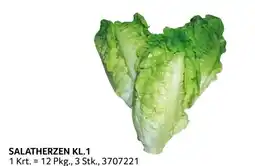 Transgourmet Salatherzen Angebot