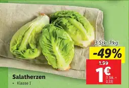 Lidl Salatherzen Angebot