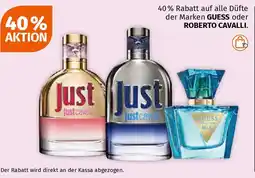 Müller GUESS Angebot