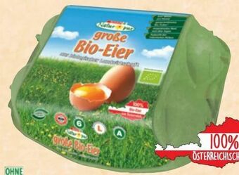 Spar Bio-Eier Angebot