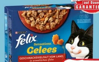 Spar Felix Frischebeutel Angebot
