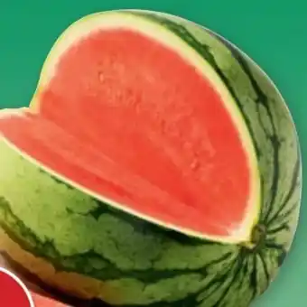 PENNY Wassermelone Angebot