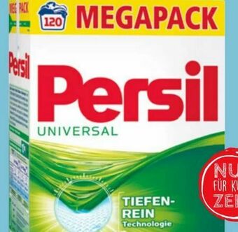 Eurospar Professional Universal-Color Pulver Angebot
