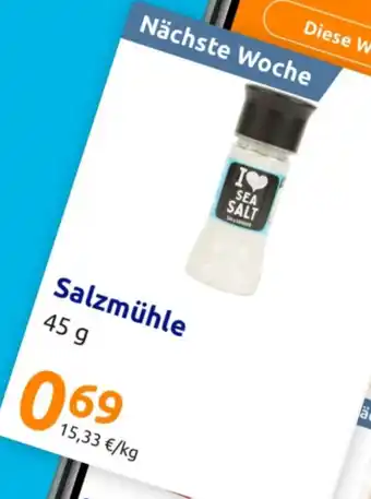 Action Salzmühle Angebot