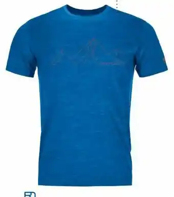 Intersport Herren-Shirt 150 Cool Mountain Angebot