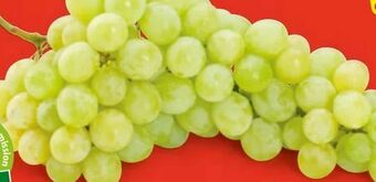 Hofer Trauben Angebot