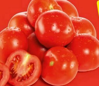 Hofer Tomaten Angebot
