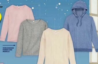 Hofer Damen-Pullover Angebot