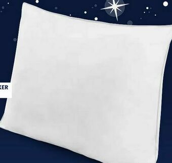 Hofer Polster Angebot