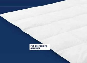 Hofer Steppbett Angebot