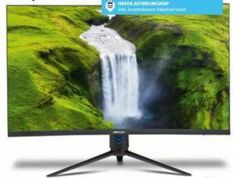 Hofer Monitor Medion Akoya P53292 Angebot