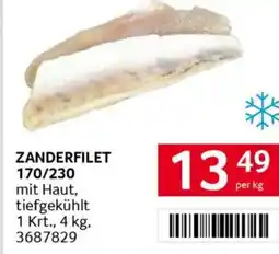 Transgourmet ZANDERFILET 170/230 Angebot